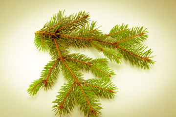 Beautiful Christmas decorations