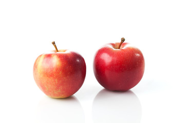 Zwei rote Gala Äpfel, weisser Untergrund, Freisteller
