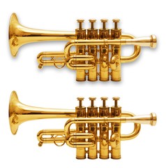 Fototapeta premium wind musical instrument isolated over white background