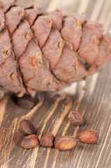 Cedar cone and nuts