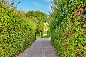 Fototapeta na wymiar Area of the park-garden complex Belvedere.Vienna. Austria.