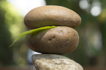 zen rock tri Spiritual stack wood floor stone concept