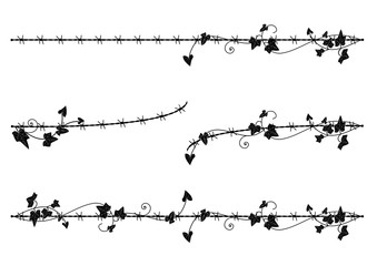 ivy border with barbed wire