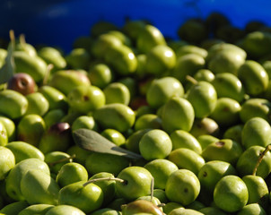 Green Olives in Natural Light