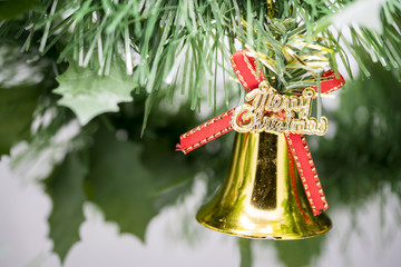 Christmas bell ornament hang on tree branch with green backgroun
