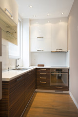 Interior of a modern kitchen in luxury apartment