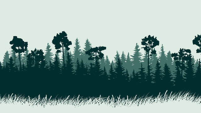 Horizontal illustration of forest with grass.