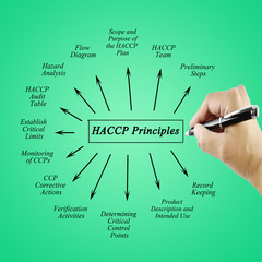Woman hand writing element of HACCP principle on white background