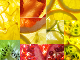 assorted collage of back lit fruit slices