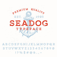 Vector handmade font. Vintage styled grunge textured typeface.