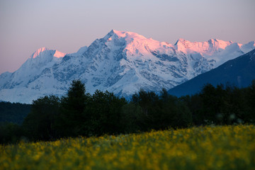 Fototapeta premium Alpengluehen am Ortler höchste Erhebung Südtirols vom Reschensee aus, Südtirol, Italien