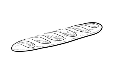 Baguette Doodle, a hand drawn vector doodle illustration of a Baguette bread.
