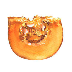 pumpkin slice isolated on white background