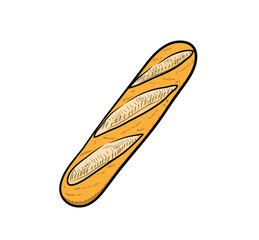 French Bread, a hand drawn vector illustration of a french bread (Baguette).