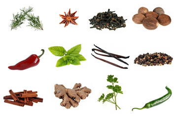 Herbes aromatiques et épices