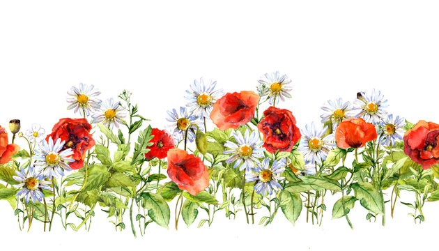 Floral horizontal border. Watercolor meadow flowers, grass, herbs. Seamless frame