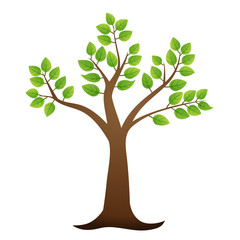 Green tree on white background, vector illustration