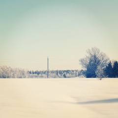 Snowy landscape in the countryside