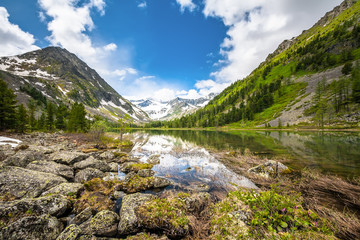 Fototapeta na wymiar Beautiful landscape of highlands of Altai mountains