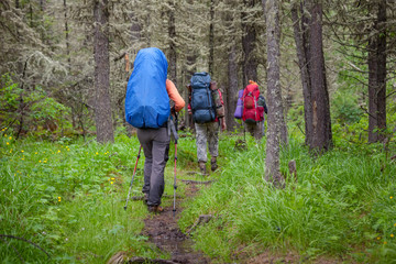 Company of young people are hiking in Altai mountains