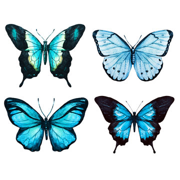 Watercolor butterflies raster