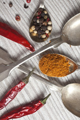 hot spices, pepper and chilly spices close up