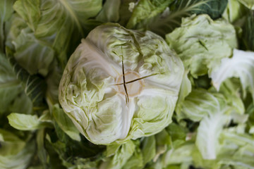 Obraz premium Cabbage on leaves