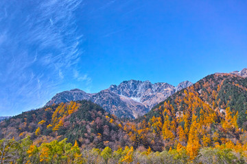 秋の上高地　横尾・徳沢間から見た前穂高岳
