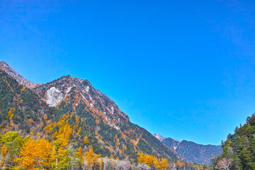秋の上高地　徳沢付近からの紅葉の山


