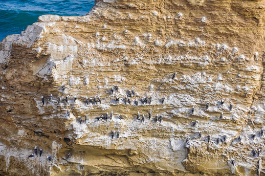 The Cathedral in the Paracas National Reserve, Peru