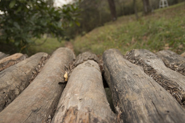 yan yana dizilmiş odun arkaplanı