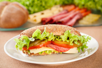Sandwich with cheese, salami, tomato, pickle and lettuce (Selective focus)