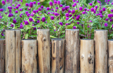 Wooden fence in Garden