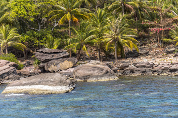 Beautiful shore with palm trees, Phu Quoc