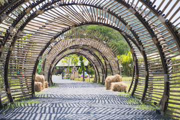 bamboo tunnel structure in garden