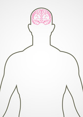 Human Internal Organ