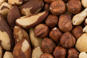 mixed nuts background above closeup