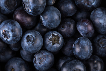 Blueberries on white background