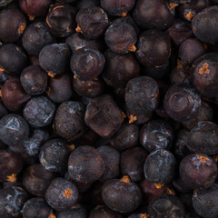 Dried black currant