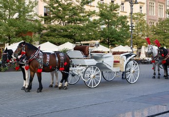 Fototapeta na wymiar traditional cabs as element of Krakow's Market Square