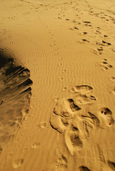 footsteps in sand