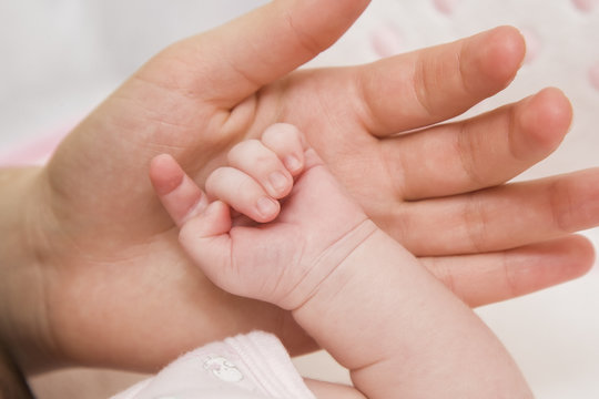 parental hand holds  the baby