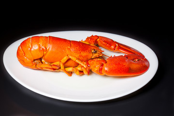 Red lobster on a white plate