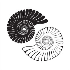 Vector sea shells isolated on white background. Art logo design