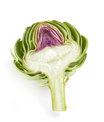 Cross-section of a fresh artichoke