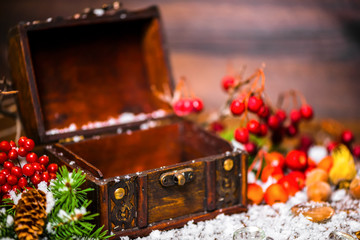 Christmas winter concept with opened chest, apple, nuts, cones,