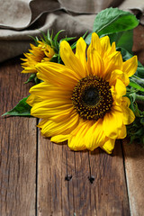 Yellow sunflower on wooden background