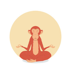 picture fiery monkey