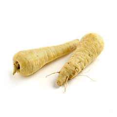 Two whole fresh white parsnips