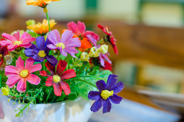 Colored potted plants